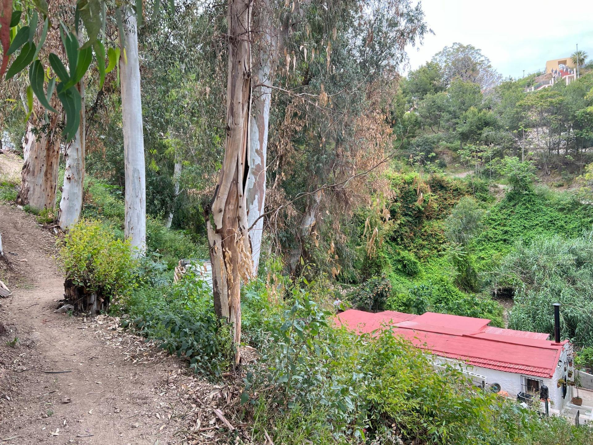 Terreno en Málaga en venta Foto del edificio- Imagen 1 de 21