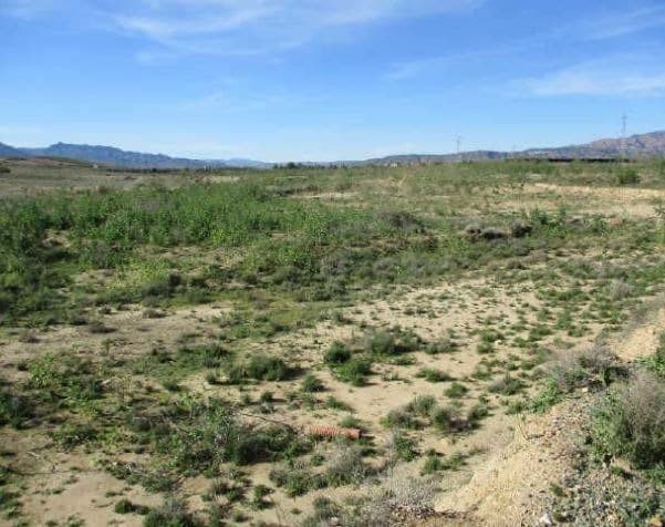 A-370, Turre, Almería en venta - Foto del edificio - Imagen 2 de 2