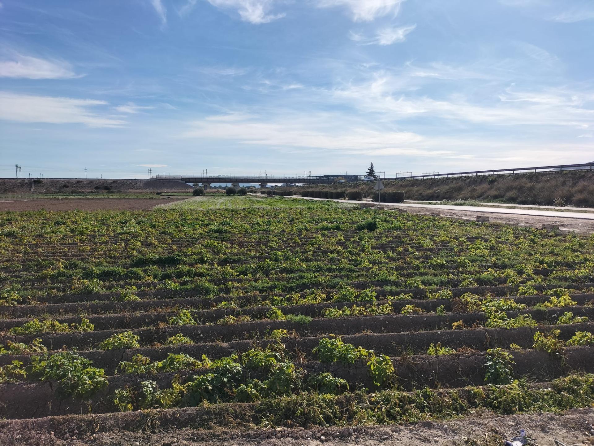 Terreno en Cox, Alicante en venta Vista aérea- Imagen 1 de 5