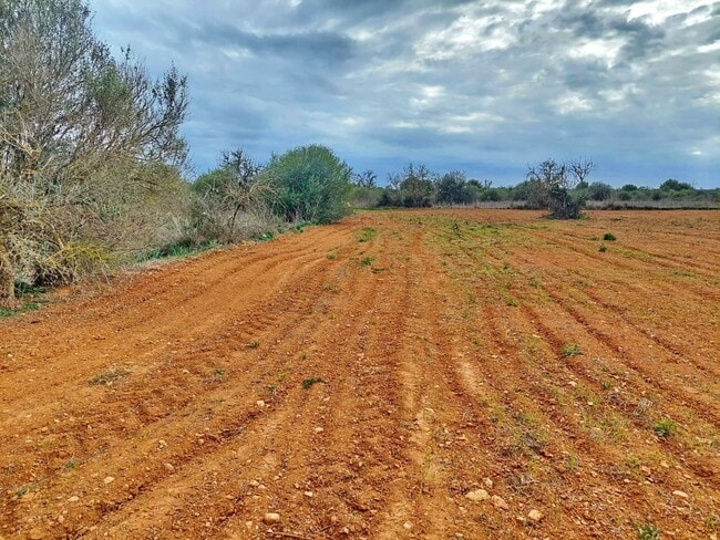 Más detalles de Terreno en venta