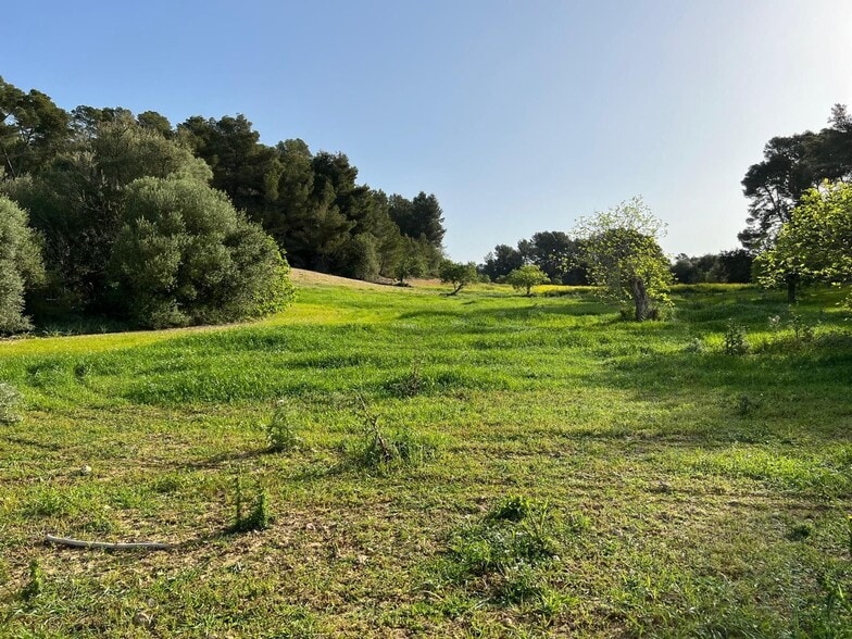 Terreno en Porreres, Islas Baleares en venta - Foto del edificio - Imagen 3 de 37