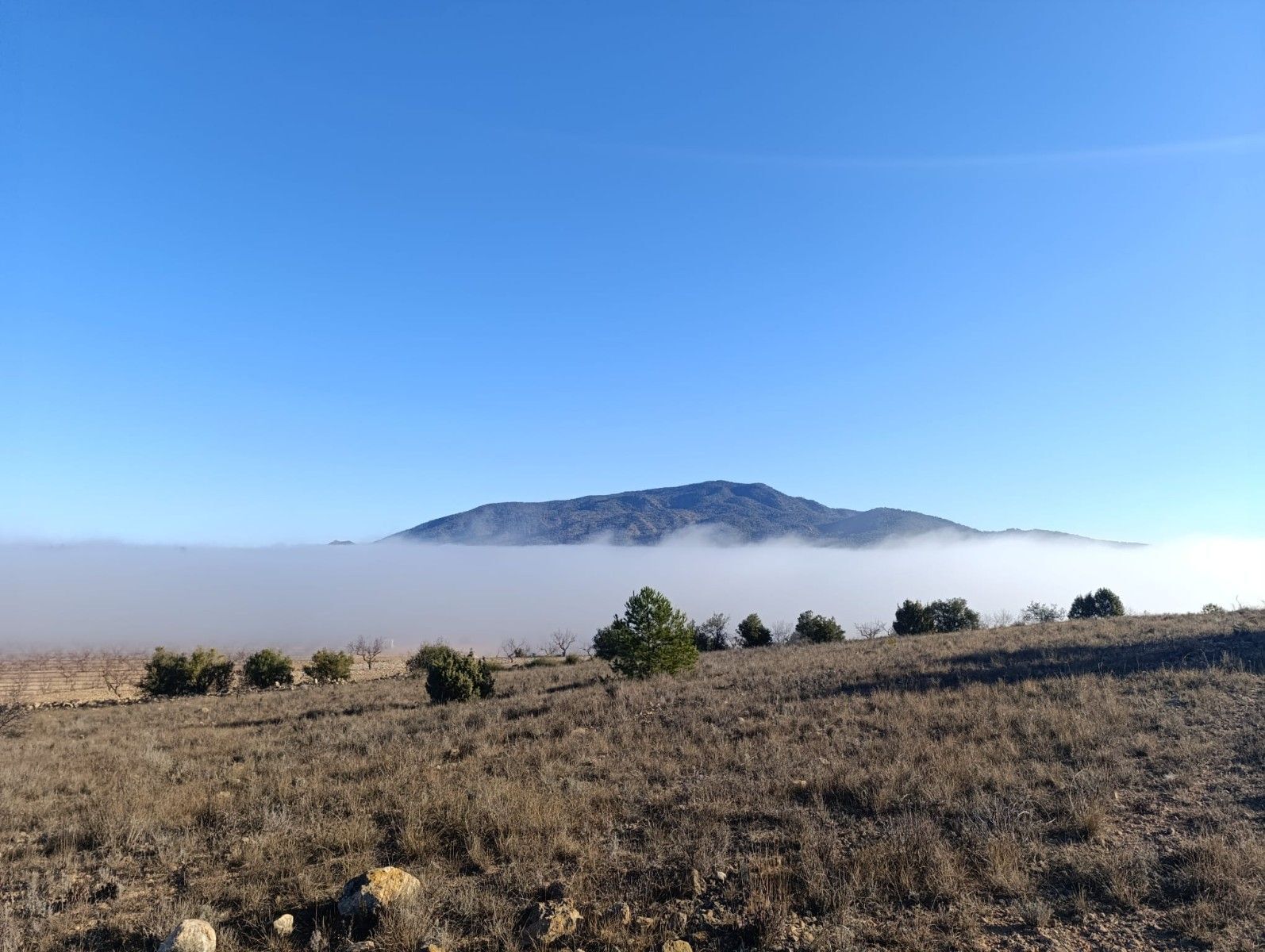 Terreno en Yecla, Murcia en venta Vista aérea- Imagen 1 de 12