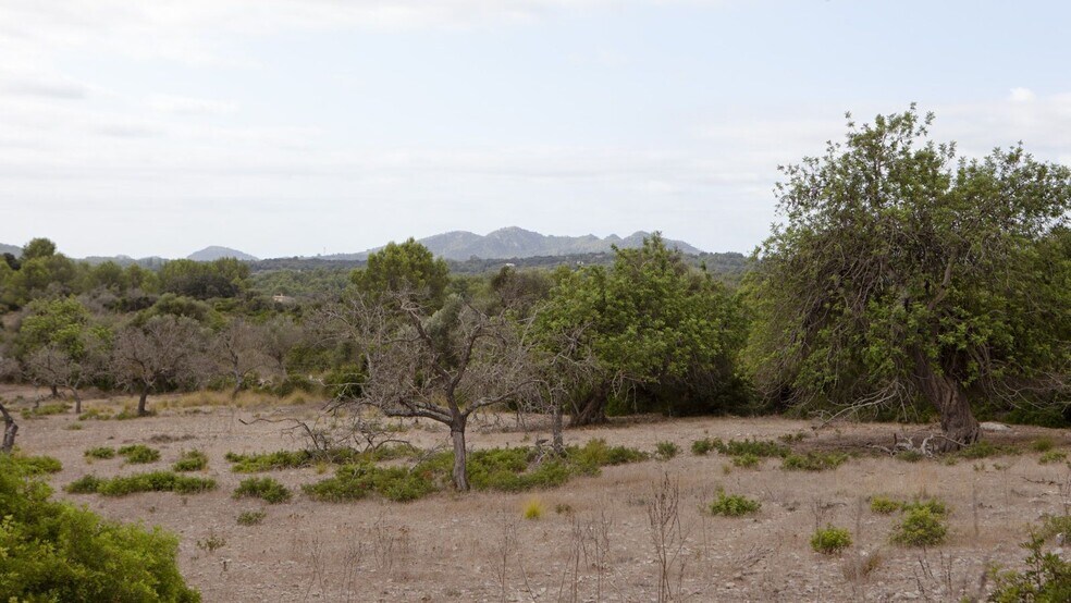 Terreno en Artà en venta - Foto del edificio - Imagen 1 de 23