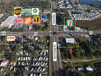 Más detalles para 4142 Morris Bridge Rd, Wesley Chapel, FL - Terrenos en venta