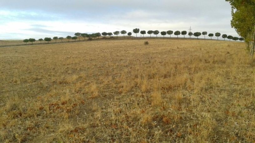 Cea, Villamayor, Salamanca en alquiler - Plano del sitio - Imagen 3 de 7