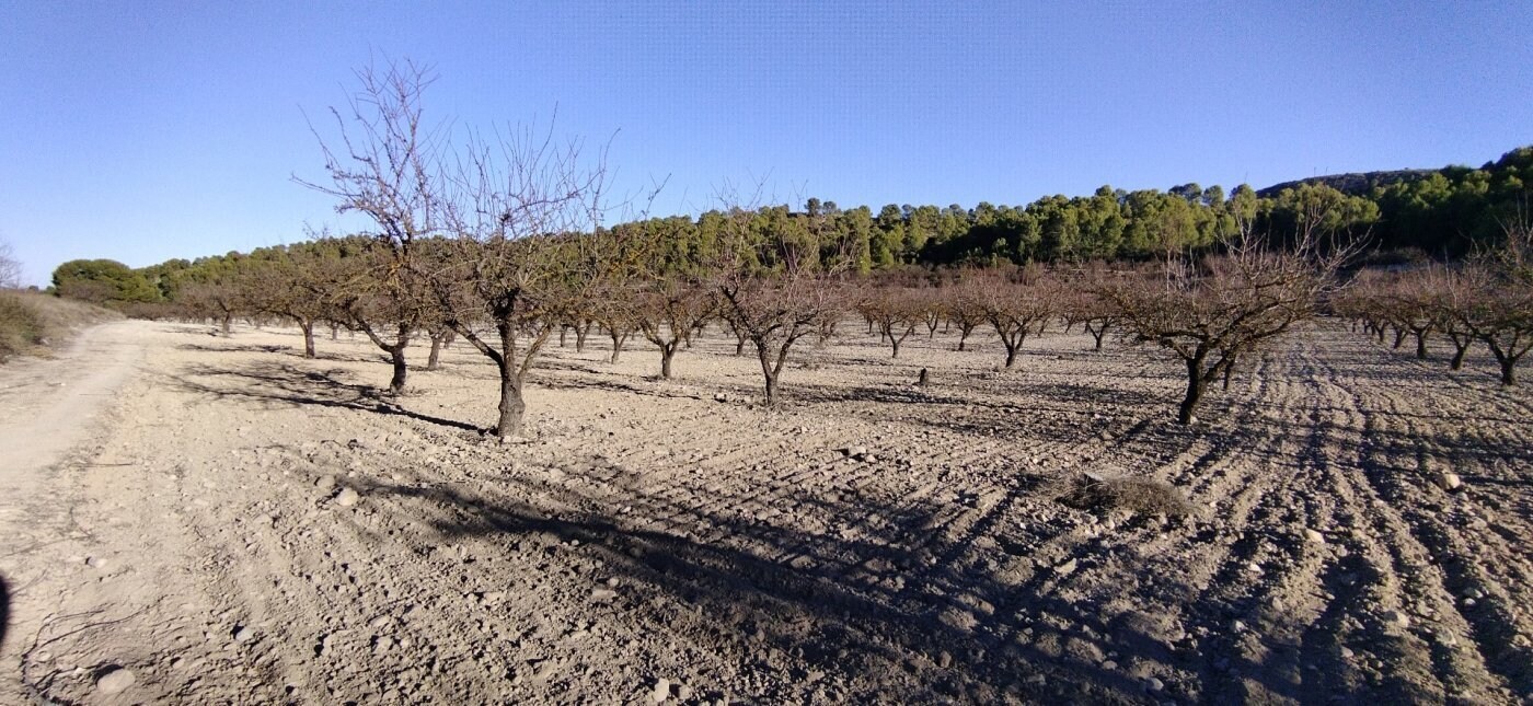 Terreno en Moratalla en venta Foto del edificio- Imagen 1 de 51
