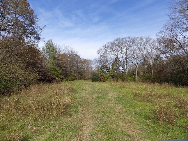 Reed Road Highway 82, Starkville, MS en venta Foto del edificio- Imagen 1 de 10