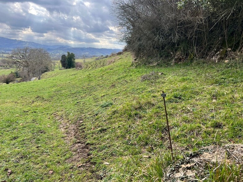 Alameda Cuenya, 25, Nava, Asturias en venta - Plano del sitio - Imagen 3 de 4