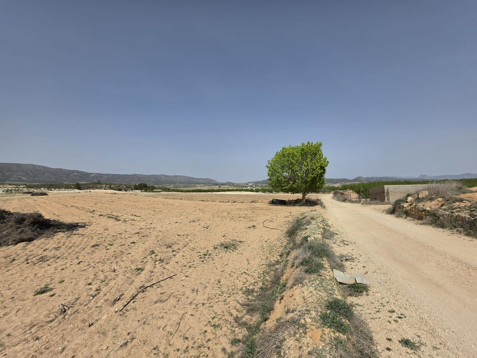 Terreno en PINOSO, Alicante en venta Vista aérea- Imagen 1 de 12