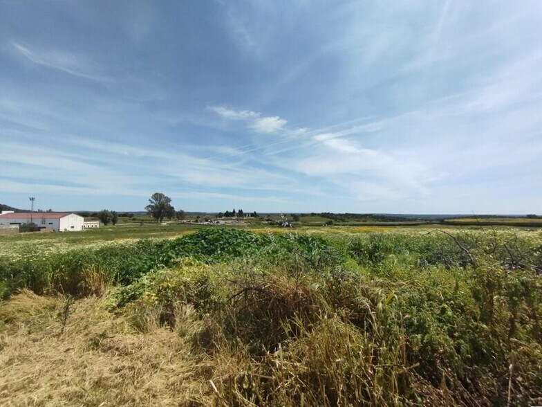 Terreno en Alosno en venta - Foto del edificio - Imagen 1 de 27