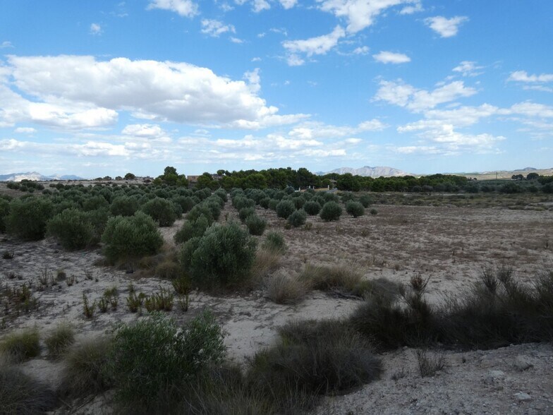 Terreno en Molina de Segura en venta - Vista aérea - Imagen 1 de 12
