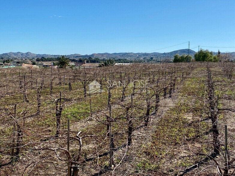 Terreno en Aspe, Alicante en venta - Vista aérea - Imagen 3 de 8