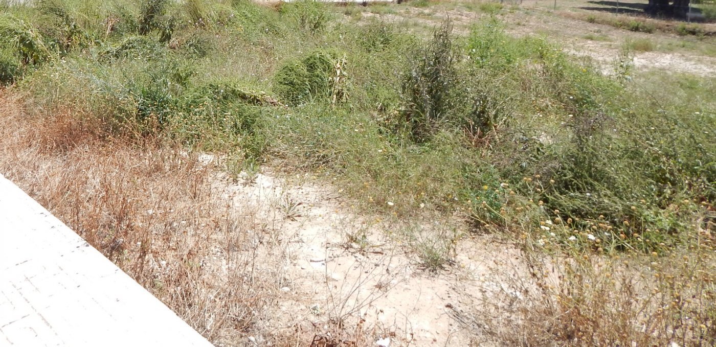 Terreno en València en venta Foto del edificio- Imagen 1 de 4