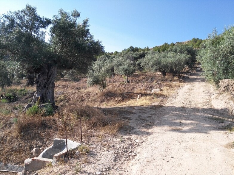 Terreno en Calasparra, Murcia en venta - Plano del sitio - Imagen 2 de 25