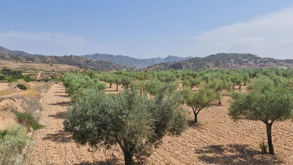Terreno en Abanilla en venta - Foto del edificio - Imagen 3 de 8