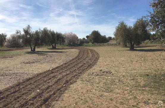 Terrenos en Villamuelas, Toledo en venta - Foto principal - Imagen 1 de 4