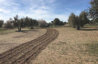 Más detalles para Terrenos en venta