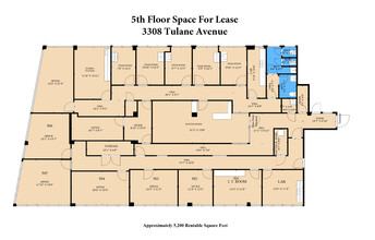 3308 Tulane Ave, New Orleans, LA en alquiler Plano de la planta- Imagen 1 de 1