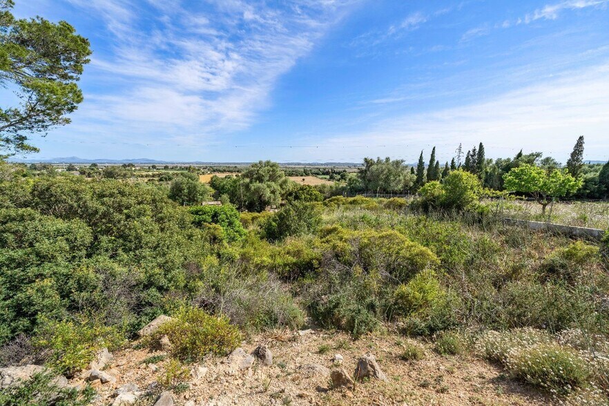 Terreno en Alcúdia en venta - Foto del edificio - Imagen 2 de 39