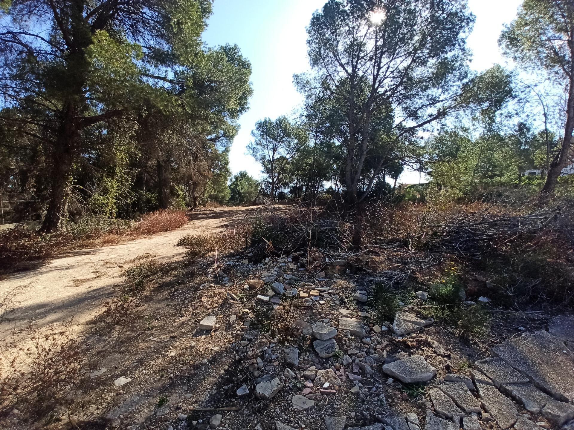 Terreno en Alberic, Valencia en venta Foto principal- Imagen 1 de 7