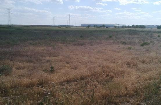 Más detalles de Paraje Sotillo de Palomero, Ciempozuelos - Terreno en venta