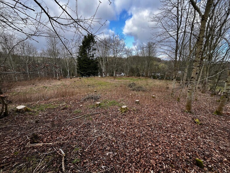 Parkdaill, Hawick en venta - Otros - Imagen 3 de 3