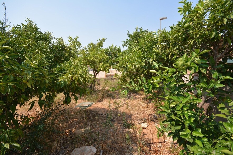 Terreno en Marratxí, Islas Baleares en venta - Foto del edificio - Imagen 2 de 18