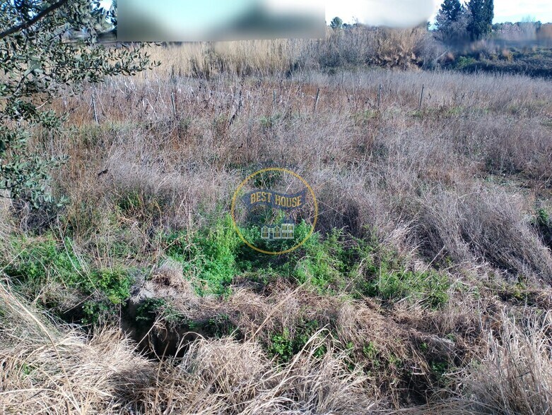 Polígono Número 5, 6, Ontinyent, Valencia en venta - Foto del edificio - Imagen 2 de 7