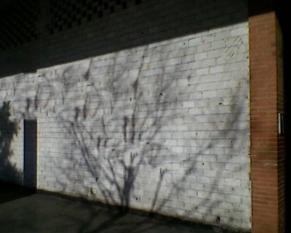 Local en Córdoba, Córdoba en alquiler - Foto del edificio - Imagen 2 de 2