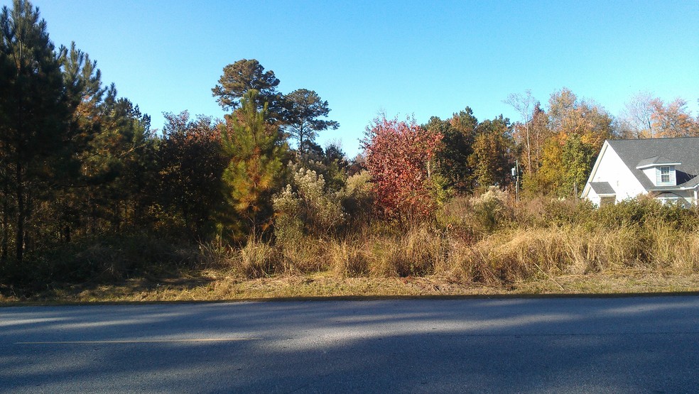 Frances Meeks Way, Richmond Hill, GA en venta - Foto del edificio - Imagen 1 de 4