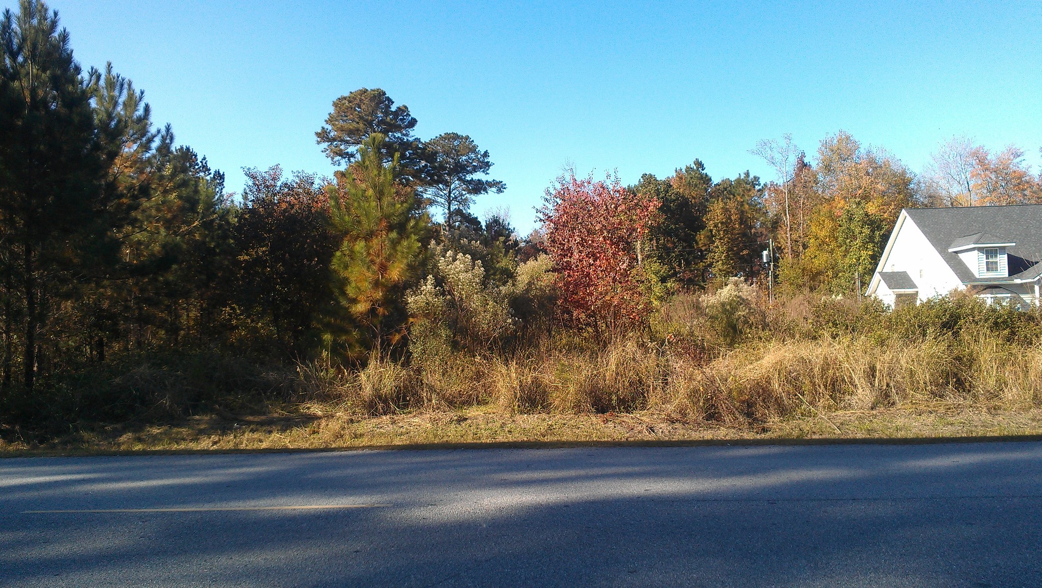 Frances Meeks Way, Richmond Hill, GA en venta Foto del edificio- Imagen 1 de 5