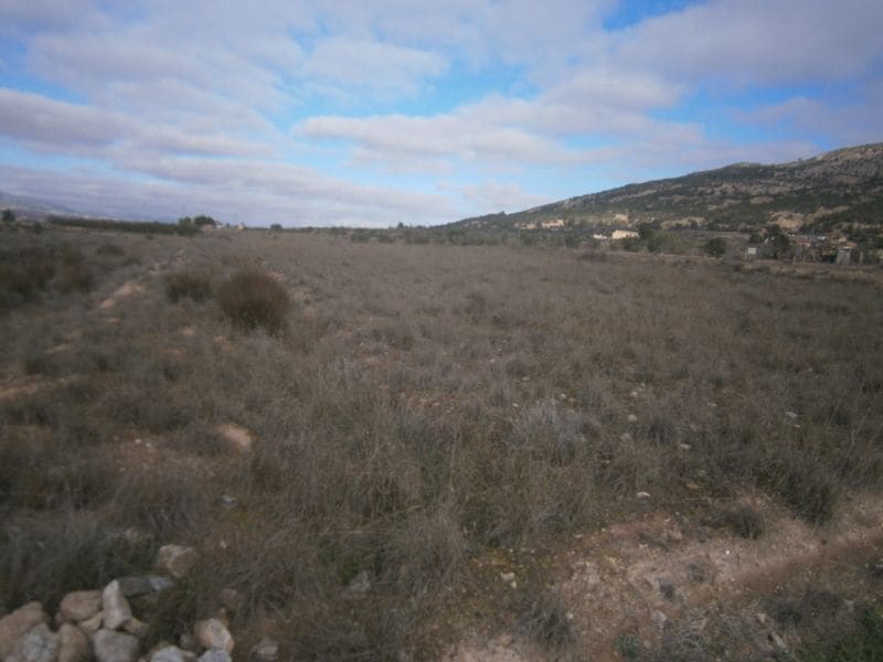 Terreno en PINOSO, Alicante en venta Vista aérea- Imagen 1 de 3