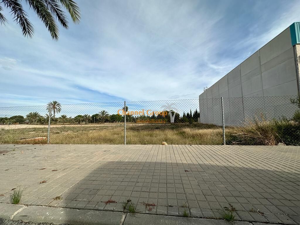 Passeig d'Atzavares, Elche, Alicante en venta Foto principal- Imagen 1 de 3