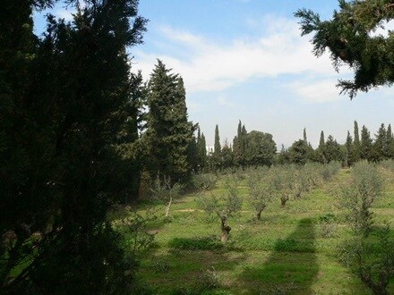 Terreno en Cambrils, Tarragona en venta - Foto del interior - Imagen 2 de 8