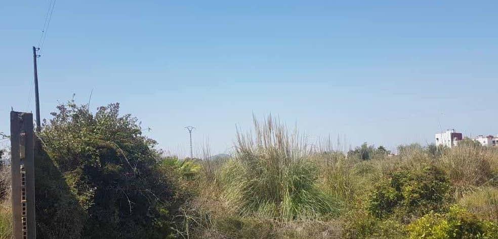 Terreno en Sueca, Valencia en venta Foto principal- Imagen 1 de 5