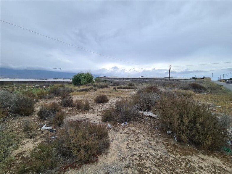 Terreno en El Ejido, Almería en venta - Foto principal - Imagen 1 de 1