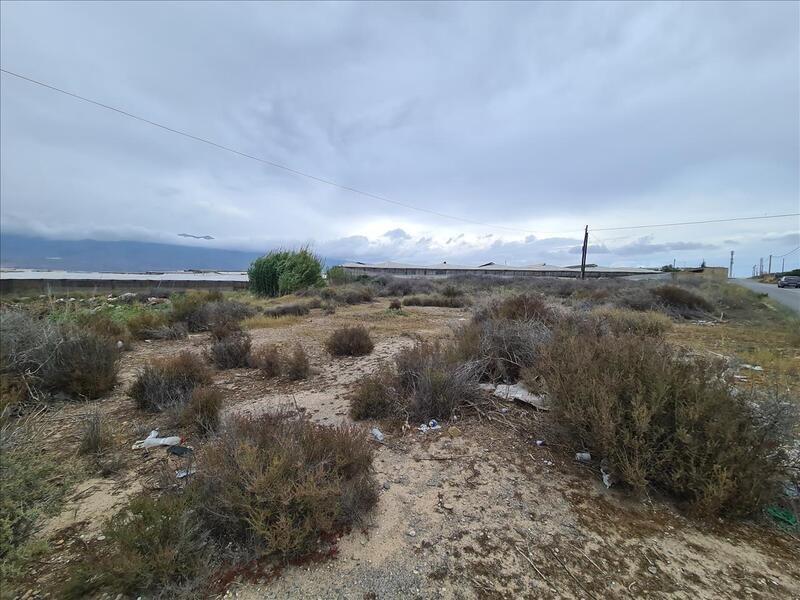 Terreno en El Ejido, Almería en venta Foto principal- Imagen 1 de 2