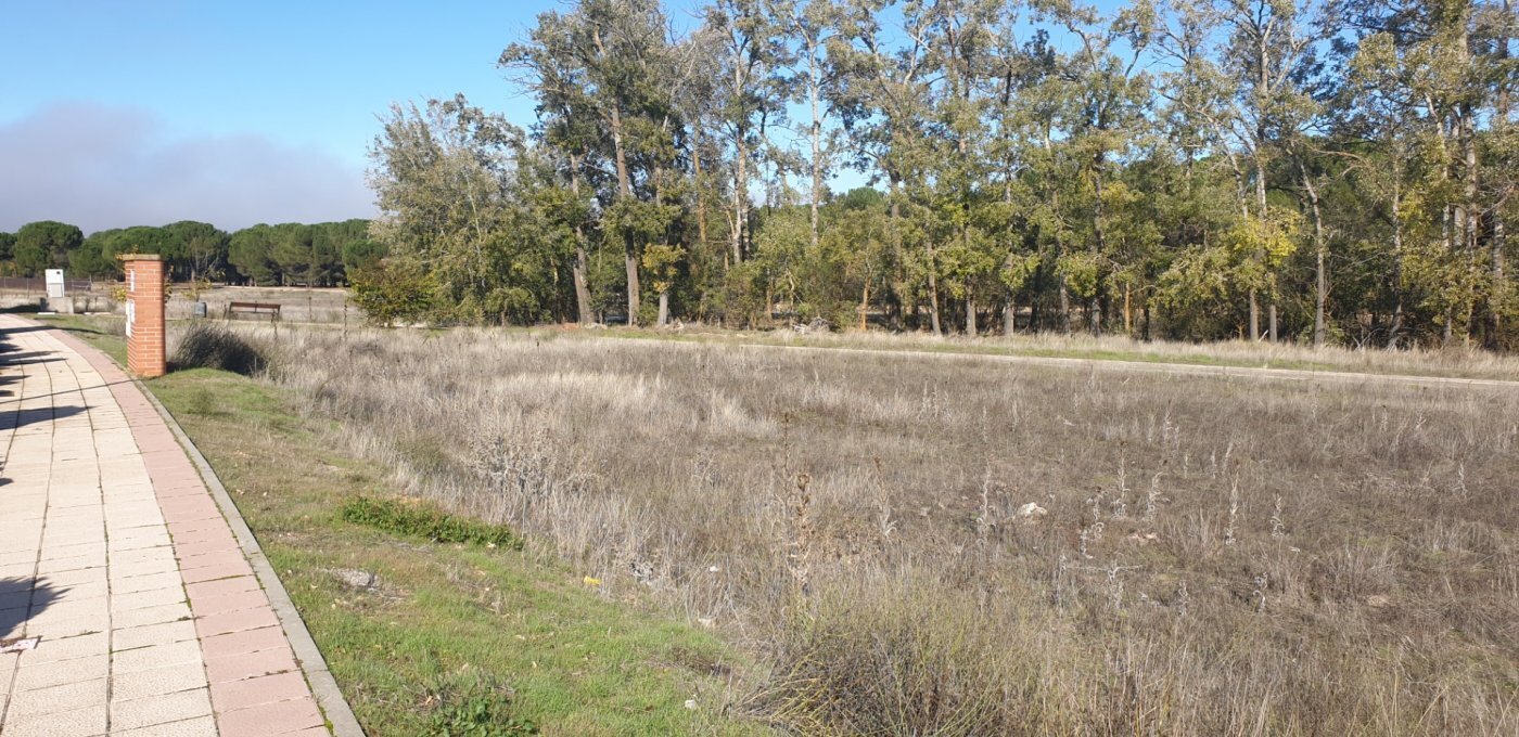 Terreno en Aldeamayor de San Martín, Valladolid en venta Foto principal- Imagen 1 de 26