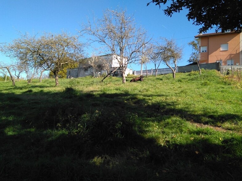 Terreno en Siero, Asturias en venta - Foto del edificio - Imagen 3 de 16