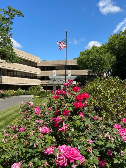 777 W Putnam Ave, Greenwich, CT en alquiler - Foto del edificio - Imagen 2 de 10