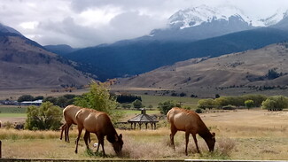 Más detalles para 4 Maiden Basin Dr, Gardiner, MT - Hoteles y hospedaje en venta