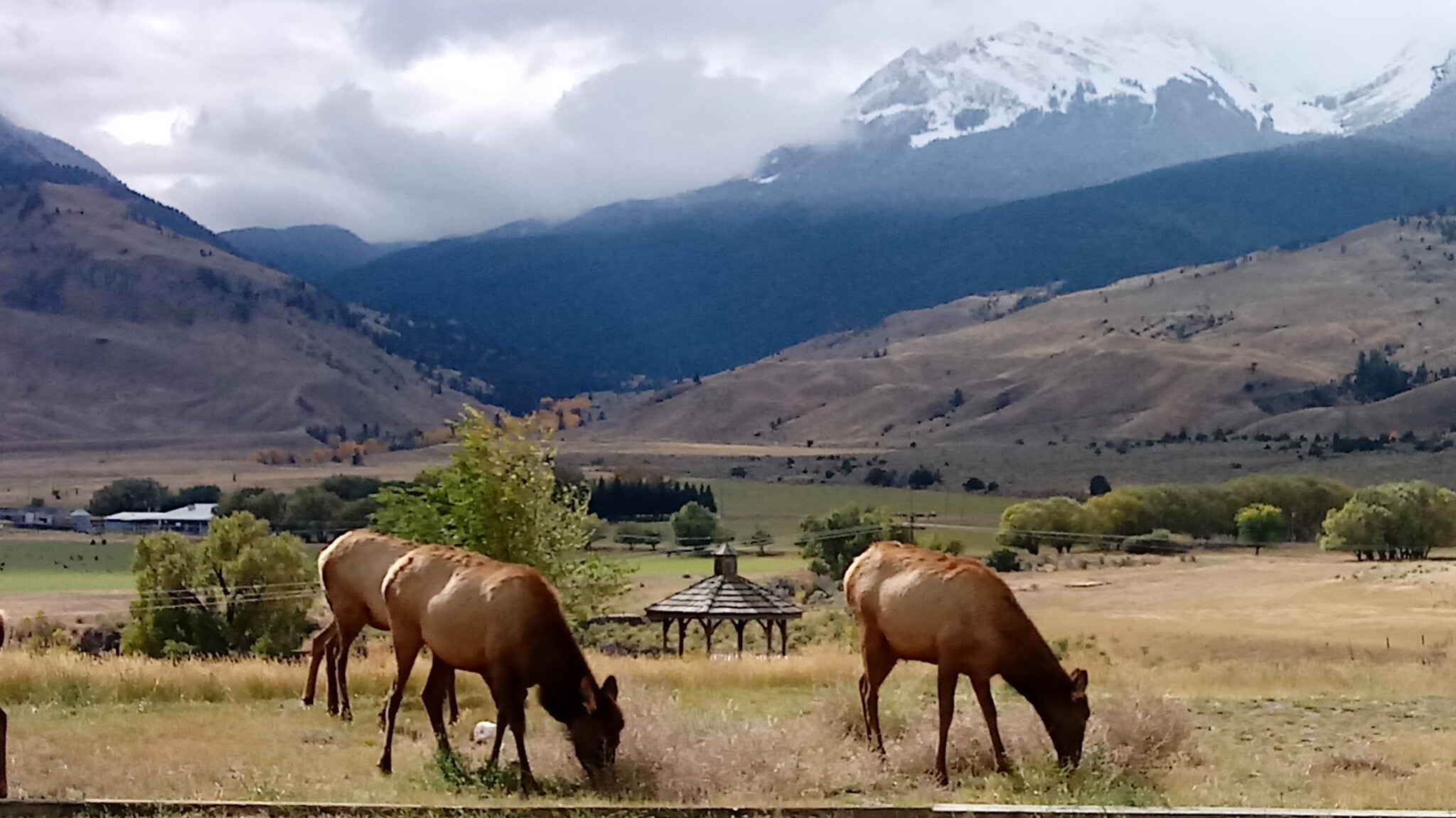 4 Maiden Basin Dr, Gardiner, MT en venta Foto del edificio- Imagen 1 de 15