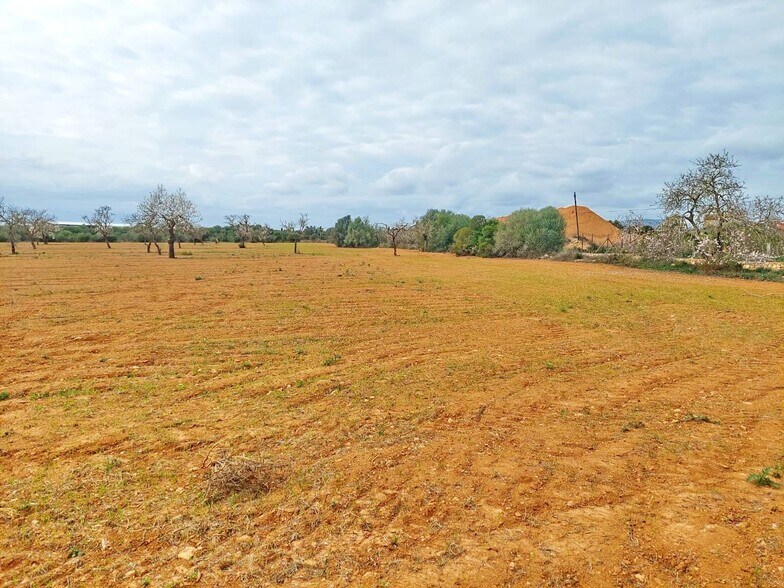 Terreno en Campos, Islas Baleares en venta - Vista aérea - Imagen 2 de 6