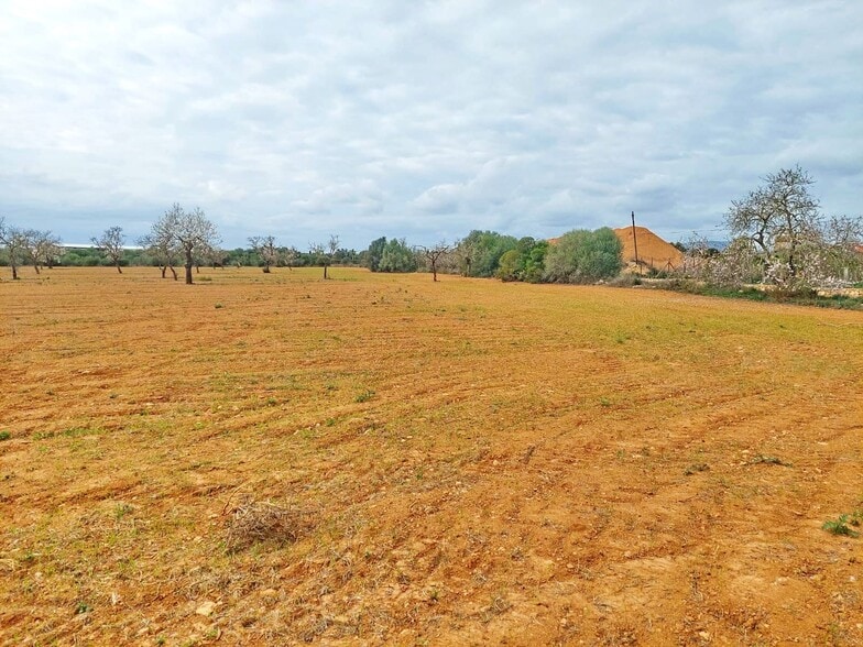 Terreno en Campos, Islas Baleares en venta - Vista aérea - Imagen 2 de 6