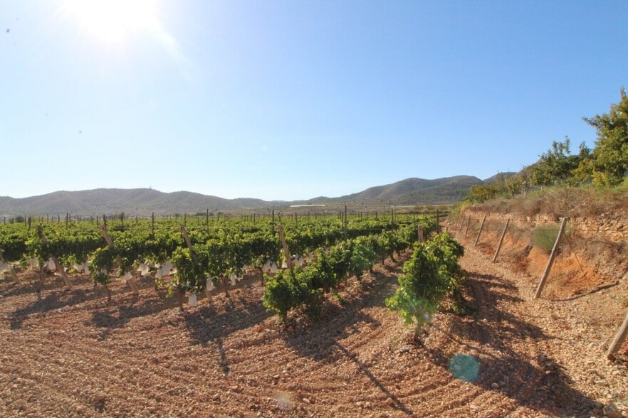 Terreno en La Romana, Alicante en venta - Vista aérea - Imagen 1 de 7