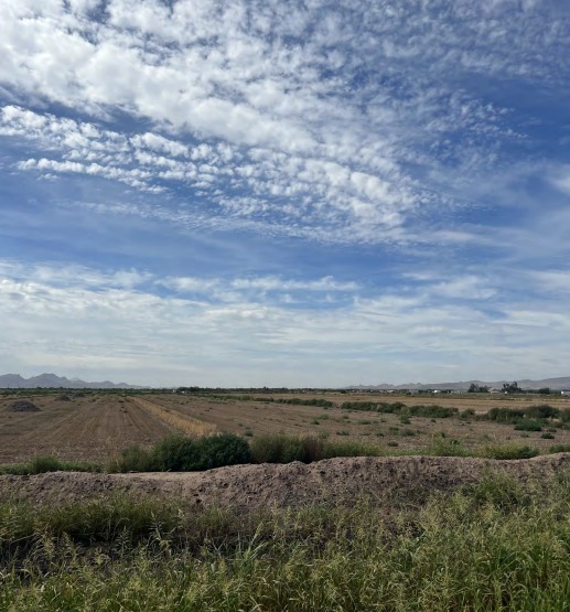 E of SEC Russell Rd & Marsh Rd, Casa Grande, AZ en venta - Otros - Imagen 3 de 4