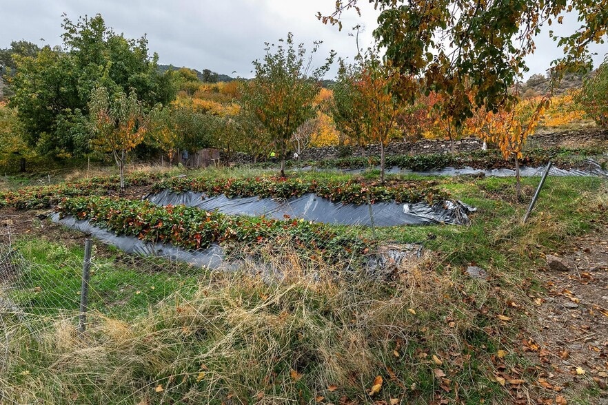 Terreno en Güéjar Sierra, Granada en venta - Foto del edificio - Imagen 3 de 25