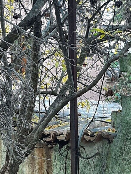 Terreno en Cáceres en venta - Foto del edificio - Imagen 3 de 7