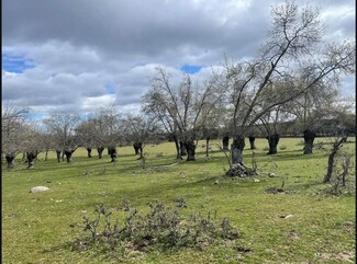 Más detalles para Polígono 2 Parcela 4 - Agua de San Martín, Galapagar - Terrenos en venta