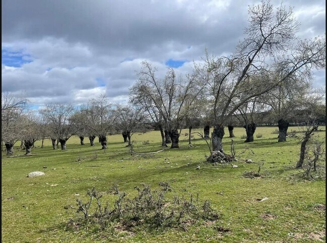 Más detalles de Polígono 2 Parcela 4 - Agua de San Martín, Galapagar - Terreno en venta